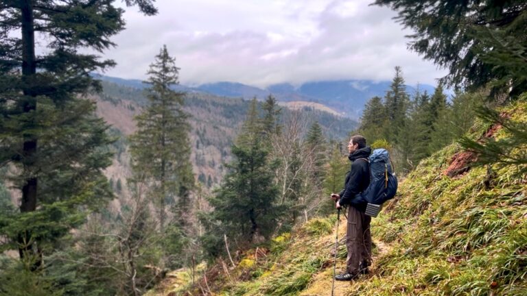 Au coeur des Vosges, une balade en cabane, à la recherche de sois même.